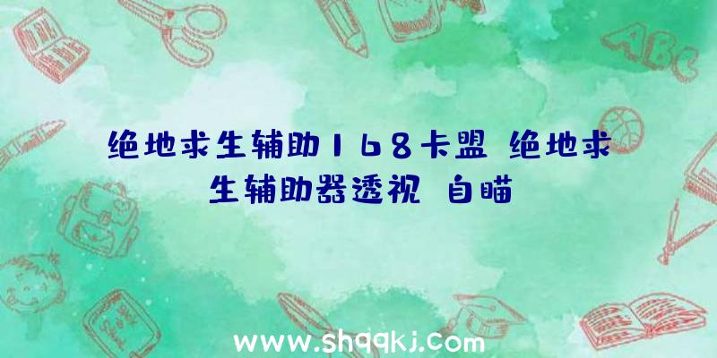 绝地求生辅助168卡盟、绝地求生辅助器透视